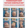 Раскраски гипсовые, набор из 6-ти фигурок, АртГипсотека