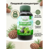 Хвойный экстракт, 200гр., Выздоровитель