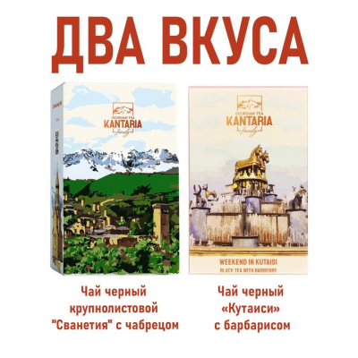 Набор грузинского чая "ДВА ВКУСА-1", с чабрецом, с барбарисом, 2х50гр.