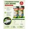 Стеклянная лапша Lady Brand Bean Vermicelly, 2 упаковки по 35 г Стеклянная лапша Lady Brand Bean Vermicelly, 2 упаковки по 35 г