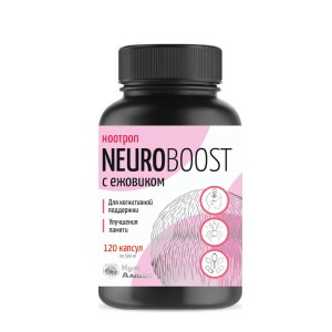 Фитоконцентрат NEUROBOOST ноотроп с ежовиком гребенчатым, 120капсу по 500 мг, КумАлтая